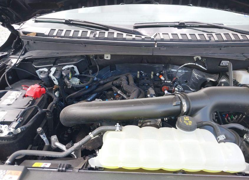 Photo 10 of 2024 Ford Expedition XLT MAX (VIN 1FMJK1J86REA31998)