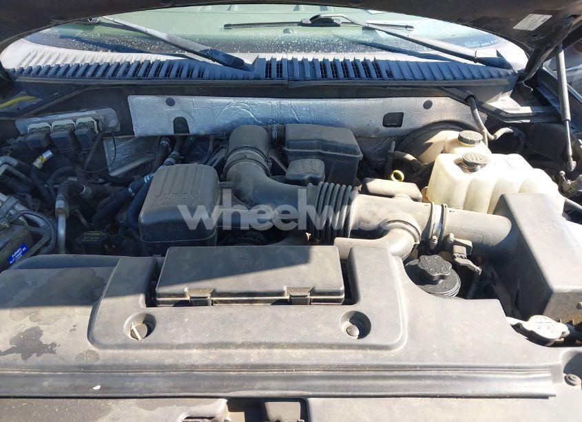 Photo 10 of 2010 Ford Expedition EDDIE BAUER (VIN 1FMJU1H59AEB53135)