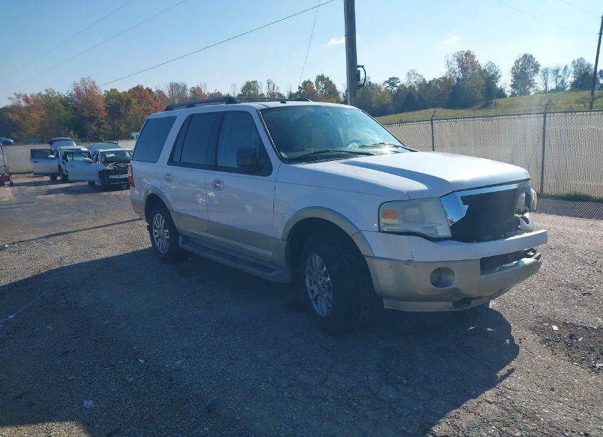 2010 Ford Expedition EDDIE BAUER/KING RANCH (VIN 1FMJU1H5XAEA24983) main photo