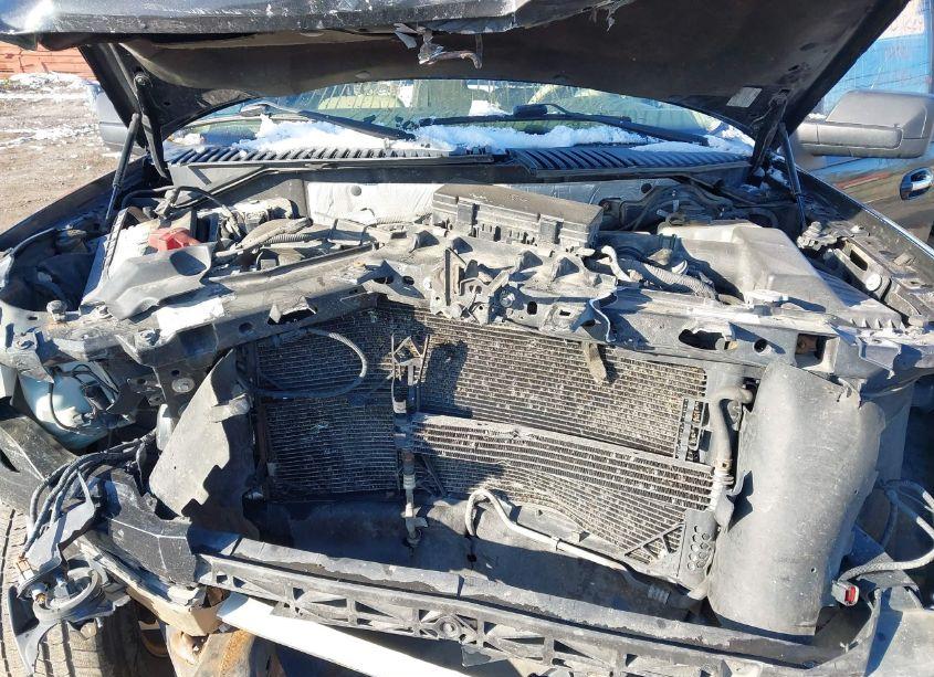 Photo 10 of 2011 Ford Expedition XLT (VIN 1FMJU1J57BEF06600)