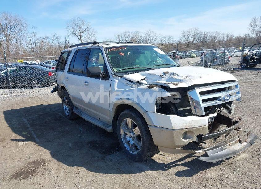 2010 Ford Expedition EDDIE BAUER (VIN 1FMJU1J58AEA64392) main photo
