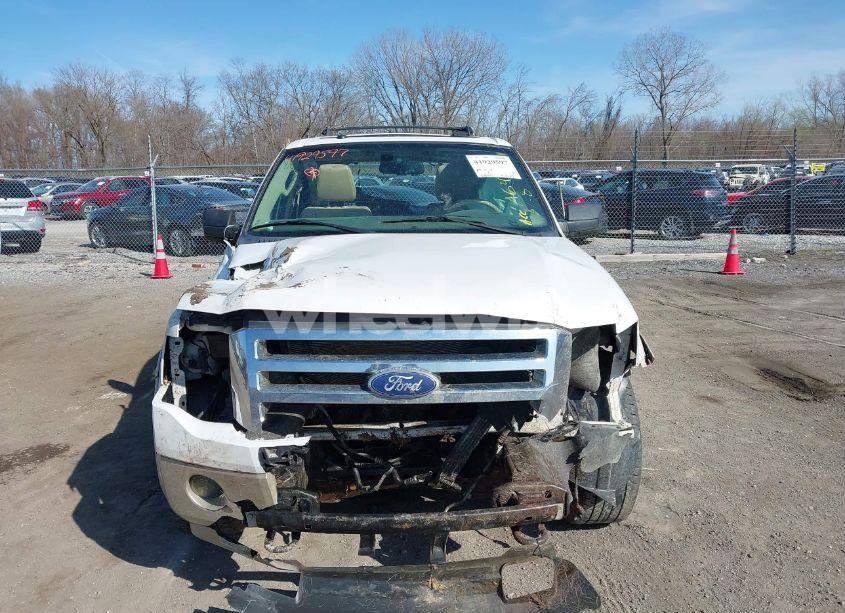 Photo 12 of 2010 Ford Expedition EDDIE BAUER (VIN 1FMJU1J58AEA64392)