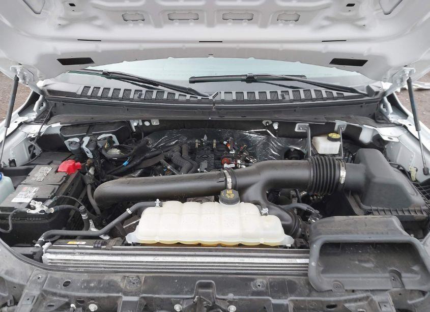 Photo 7 of 2024 Ford Expedition XLT (VIN 1FMJU1J82REA32804)