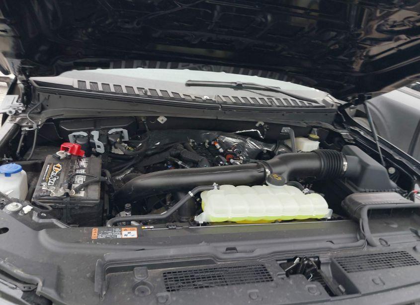 Photo 10 of 2024 Ford Expedition XLT (VIN 1FMJU1J86REA32014)