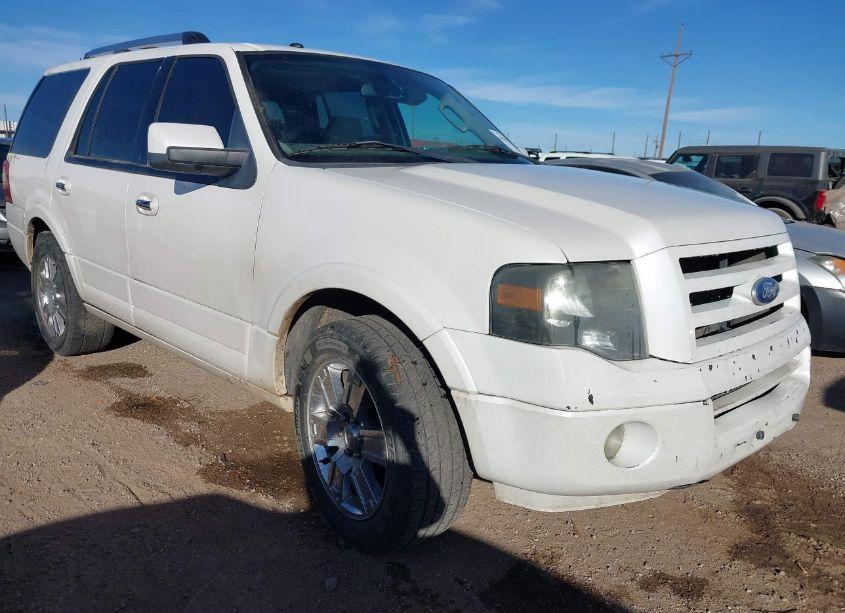 2010 Ford Expedition LIMITED (VIN 1FMJU1K53AEB47677) main photo