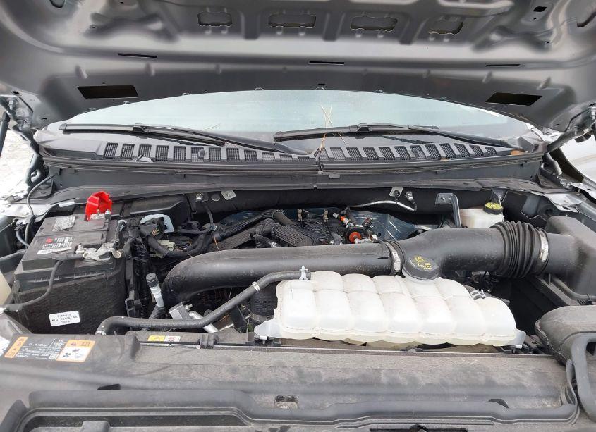 Photo 10 of 2024 Ford Expedition TIMBERLINE (VIN 1FMJU1RGXREA07547)