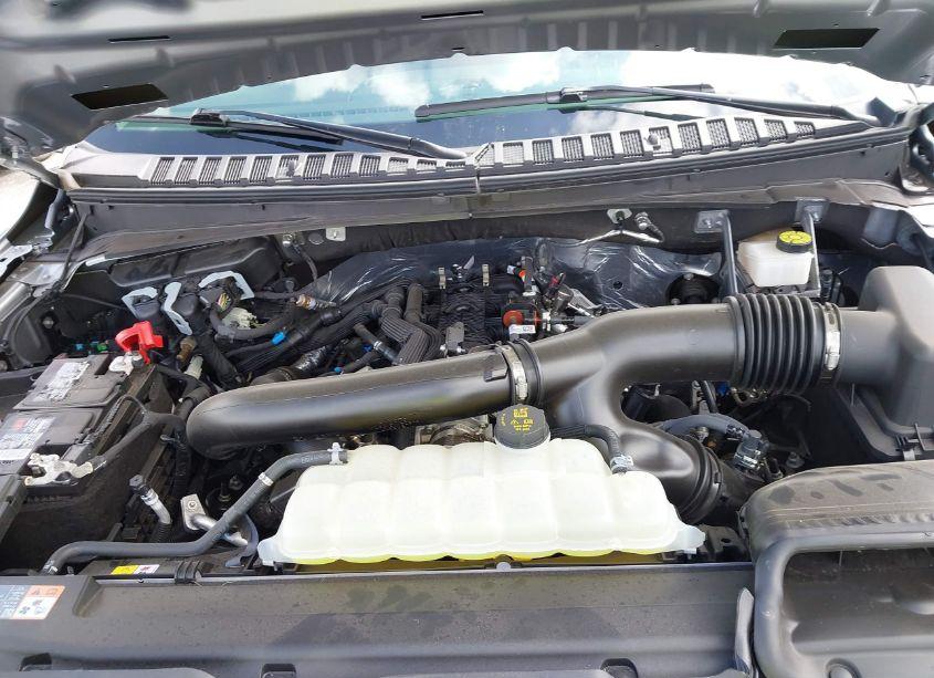 Photo 10 of 2024 Ford Expedition LIMITED (VIN 1FMJU2A84REA49237)