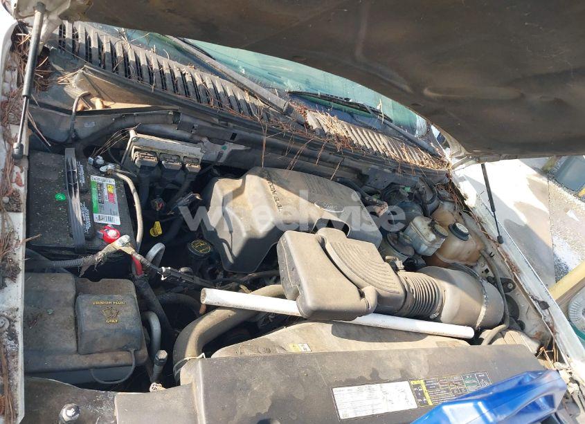 Photo 10 of 2004 Ford Expedition XLT (VIN 1FMPU15L24LA88545)