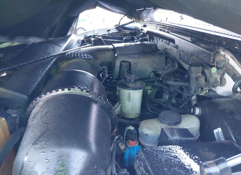 Photo 10 of 1999 Ford Expedition EDDIE BAUER/XLT (VIN 1FMRU1765XLB54025)