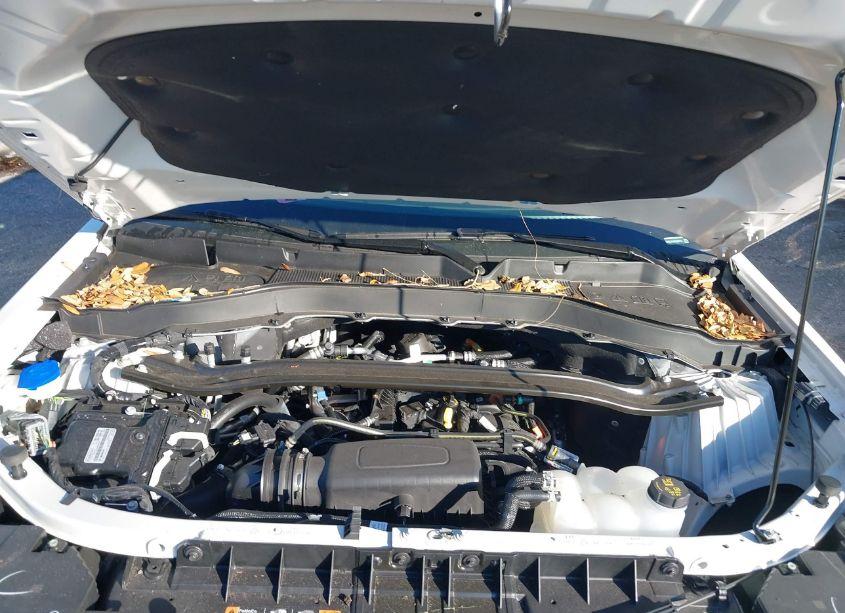 Photo 10 of 2024 Ford Explorer LIMITED (VIN 1FMSK7FH9RGA66751)