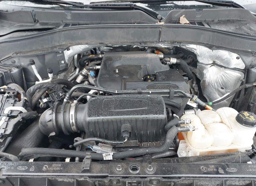 Photo 10 of 2020 Ford Explorer XLT (VIN 1FMSK8DH4LGA37769)