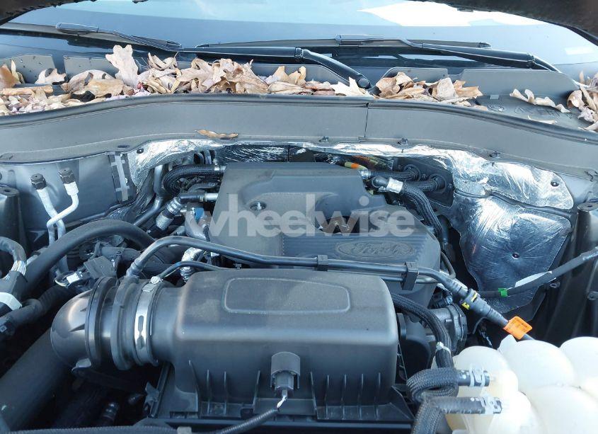 Photo 10 of 2020 Ford Explorer XLT (VIN 1FMSK8DH9LGA75269)