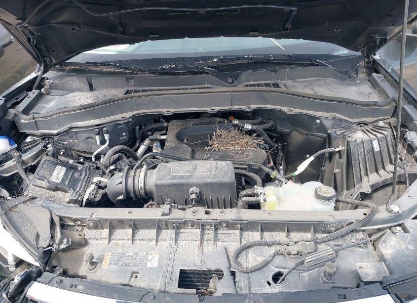 Photo 10 of 2020 Ford Explorer XLT (VIN 1FMSK8DHXLGB88065)