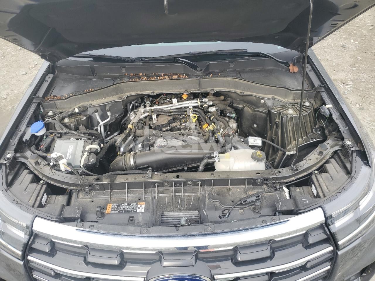 Photo 12 of 2025 FORD EXPLORER ACTIVE (VIN 1FMUK8DH5SGA39246)