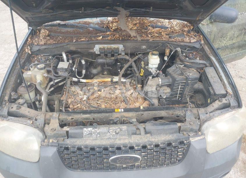 Photo 10 of 2006 Ford Escape XLS/XLS MANUAL (VIN 1FMYU02Z06KA02505)