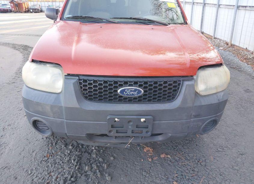 Photo 6 of 2005 Ford Escape XLS (VIN 1FMYU02Z95KC28654)