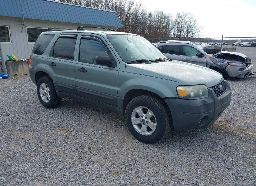 2007 Ford Escape XLT/XLT SPORT (VIN 1FMYU03107KA50631) main photo