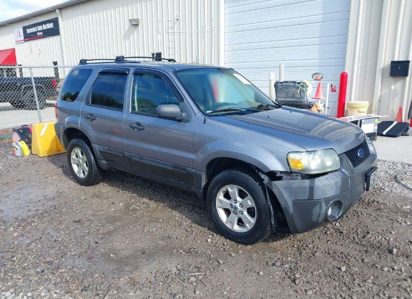 2007 Ford Escape XLT/XLT SPORT (VIN 1FMYU03107KA51309) main photo