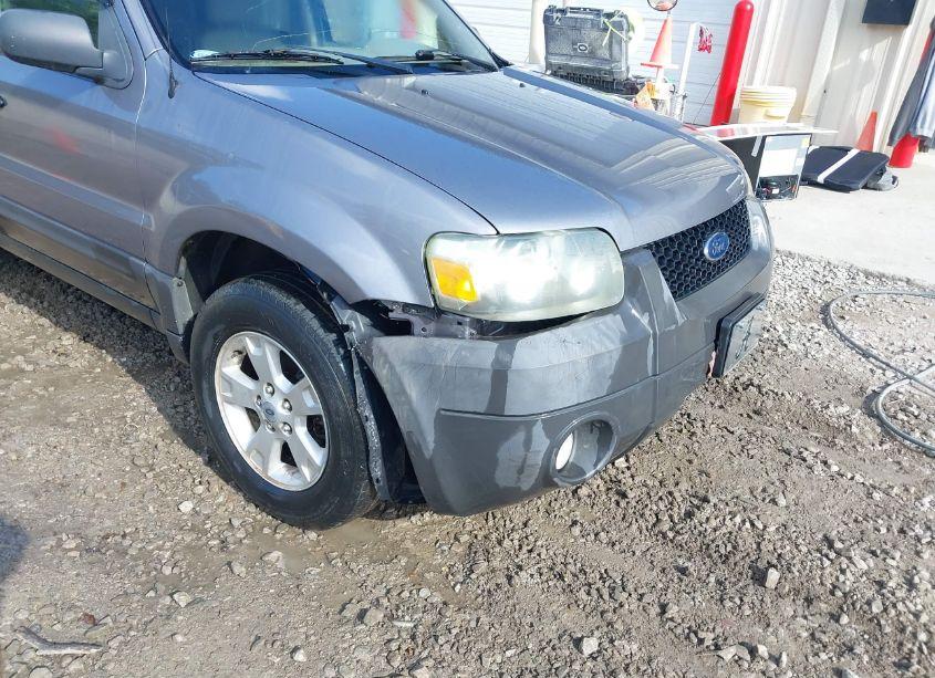 Photo 6 of 2007 Ford Escape XLT/XLT SPORT (VIN 1FMYU03107KA51309)