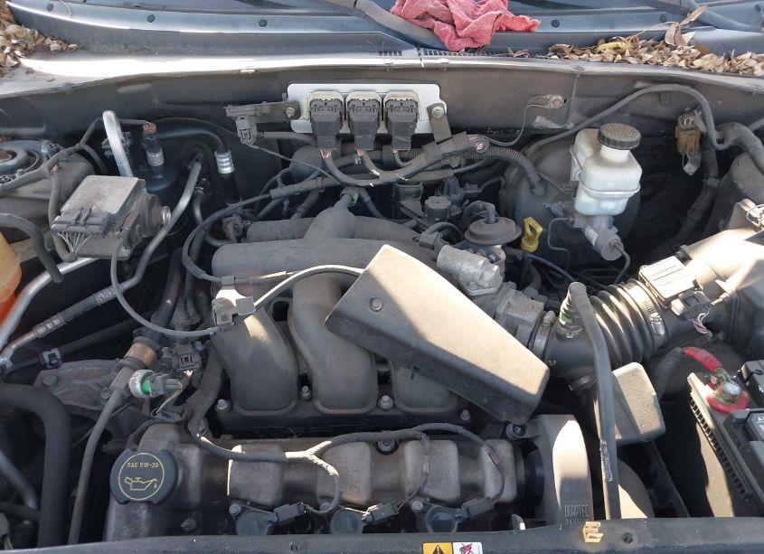 Photo 10 of 2005 Ford Escape XLT (VIN 1FMYU03115KA81271)