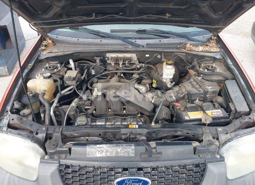 Photo 10 of 2006 Ford Escape (VIN 1FMYU03116KD48619)