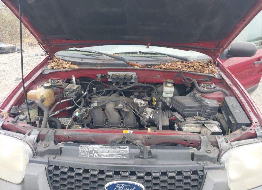Photo 10 of 2005 Ford Escape XLT (VIN 1FMYU03135KA28474)