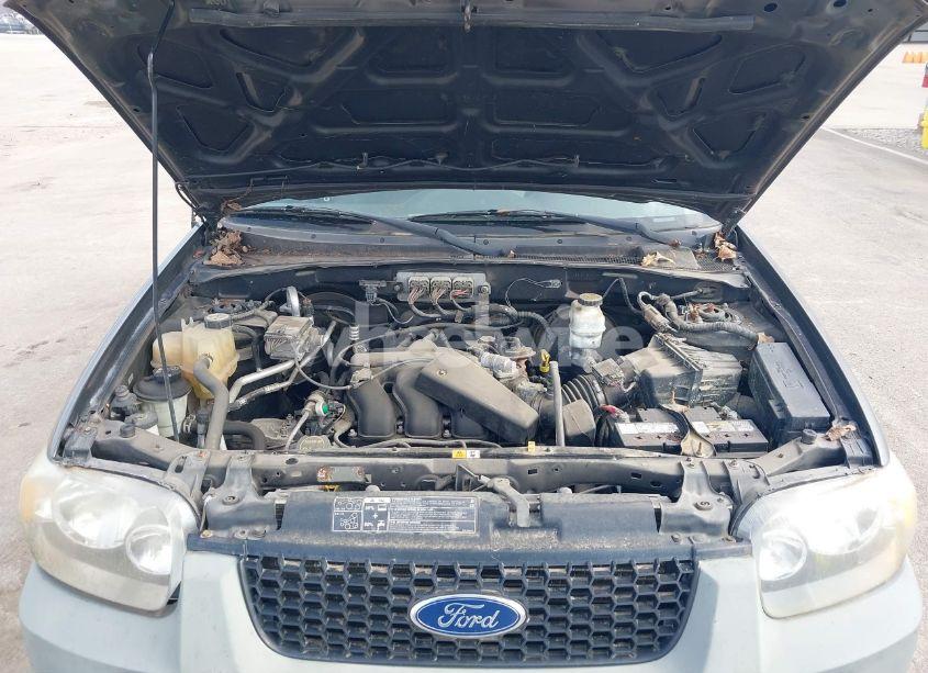 Photo 10 of 2006 Ford Escape XLT/XLT SPORT (VIN 1FMYU03136KC04084)