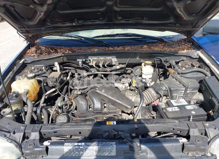 Photo 10 of 2007 Ford Escape XLT/XLT SPORT (VIN 1FMYU03137KA85826)