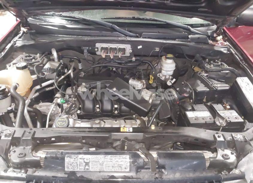 Photo 10 of 2007 Ford Escape XLT/XLT SPORT (VIN 1FMYU03147KA21858)