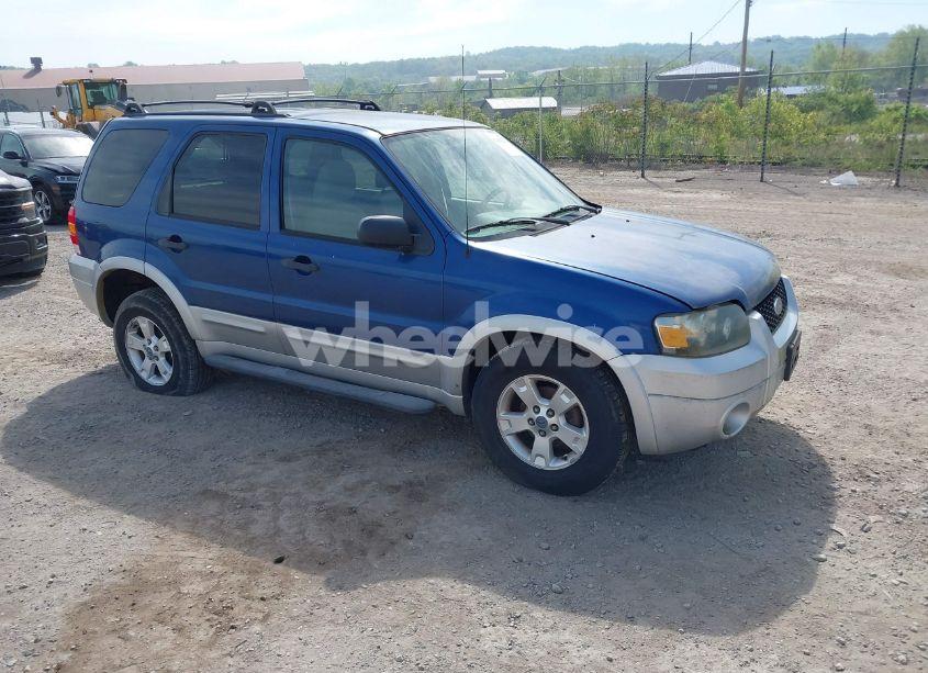 2007 Ford Escape XLT/XLT SPORT (VIN 1FMYU03147KC02944) main photo