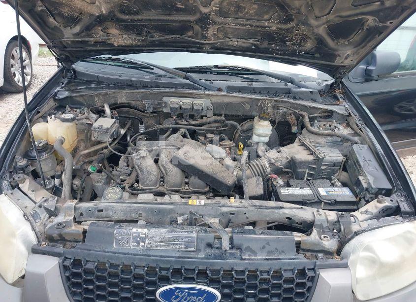 Photo 10 of 2006 Ford Escape XLT/XLT SPORT (VIN 1FMYU03156KA84031)