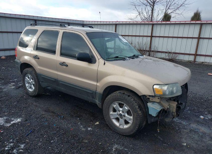 2007 Ford Escape XLT/XLT SPORT (VIN 1FMYU03157KA03157) main photo