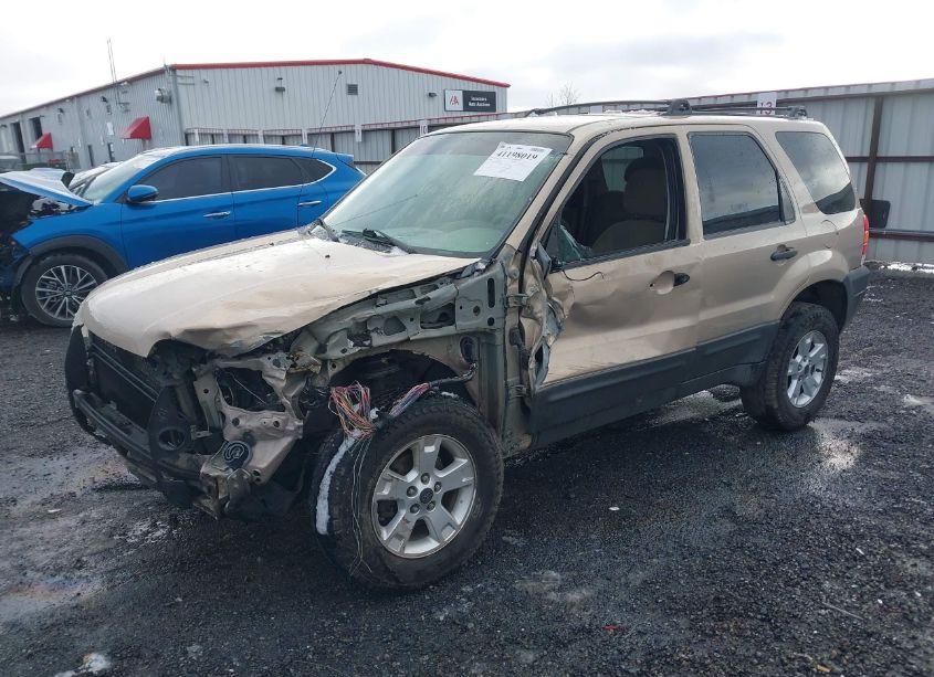 Photo 2 of 2007 Ford Escape XLT/XLT SPORT (VIN 1FMYU03157KA03157)