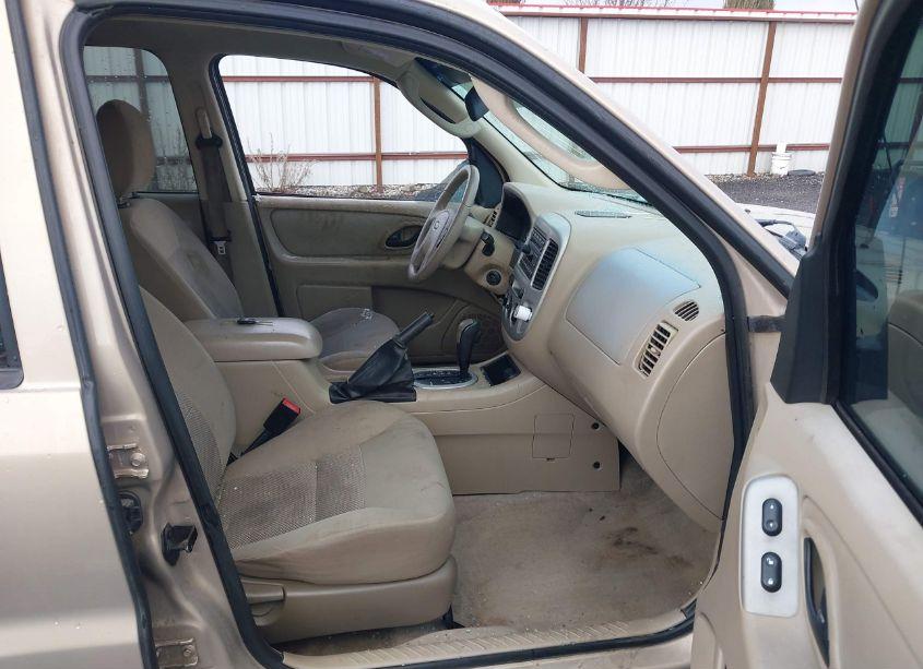 Photo 5 of 2007 Ford Escape XLT/XLT SPORT (VIN 1FMYU03157KA03157)