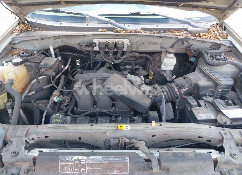 Photo 10 of 2005 Ford Escape XLT (VIN 1FMYU03165KA39937)