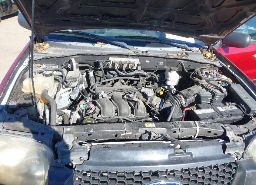 Photo 10 of 2007 Ford Escape (VIN 1FMYU03177KA26410)