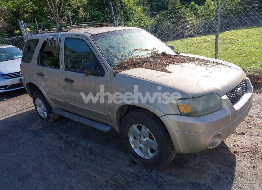 2007 Ford Escape XLT/XLT SPORT (VIN 1FMYU03187KB44496) main photo
