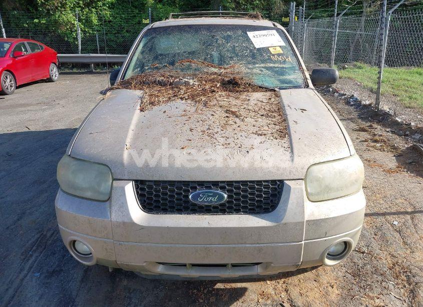 Photo 6 of 2007 Ford Escape XLT/XLT SPORT (VIN 1FMYU03187KB44496)