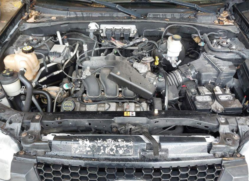 Photo 10 of 2005 Ford Escape XLT (VIN 1FMYU03195KA63472)