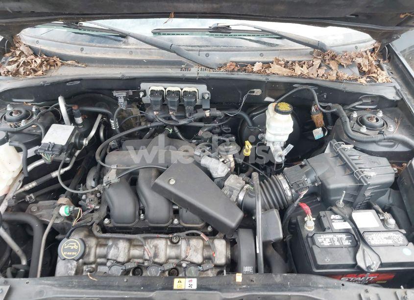 Photo 10 of 2005 Ford Escape XLT (VIN 1FMYU03195KA80529)