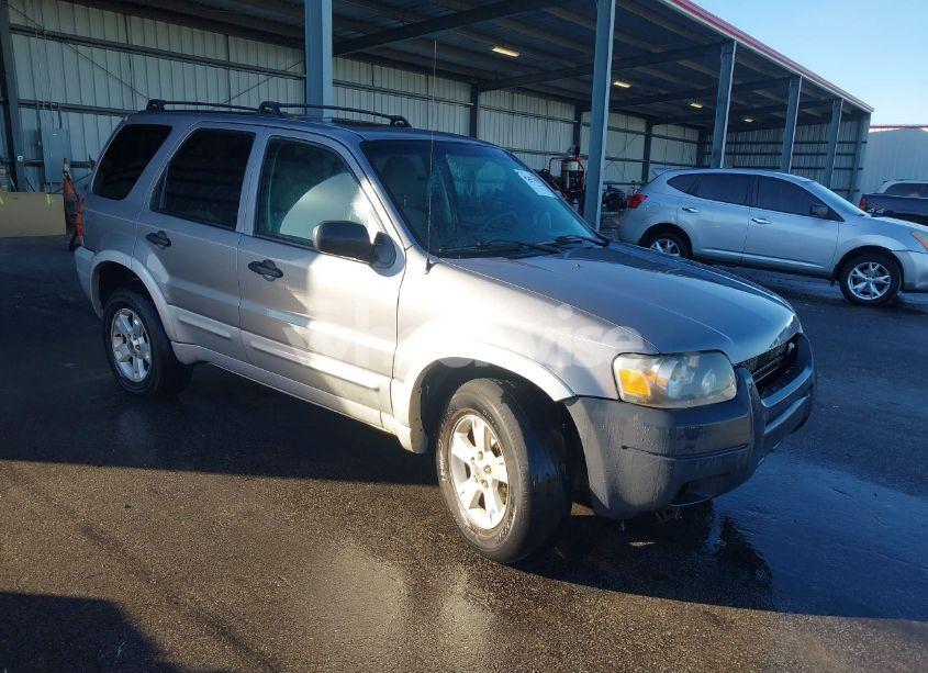 2007 Ford Escape XLT/XLT SPORT (VIN 1FMYU031X7KA14753) main photo