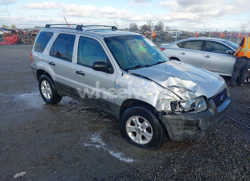 2007 Ford Escape XLT (VIN 1FMYU03Z37KA92572) main photo