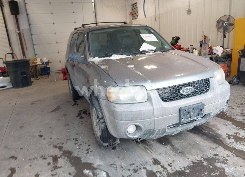 2007 Ford Escape XLT (VIN 1FMYU03Z67KA29904) main photo
