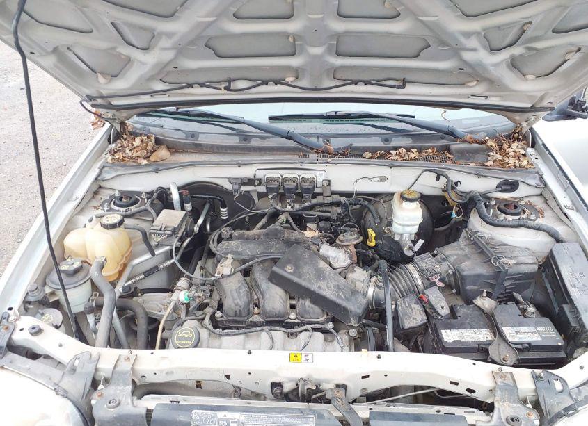 Photo 10 of 2005 Ford Escape LIMITED (VIN 1FMYU04115KD53431)