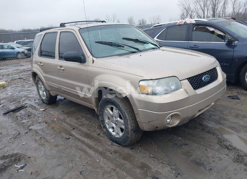2007 Ford Escape LIMITED (VIN 1FMYU04137KA67003) main photo