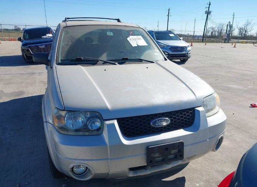 Photo 6 of 2007 Ford Escape LIMITED (VIN 1FMYU04177KA99243)