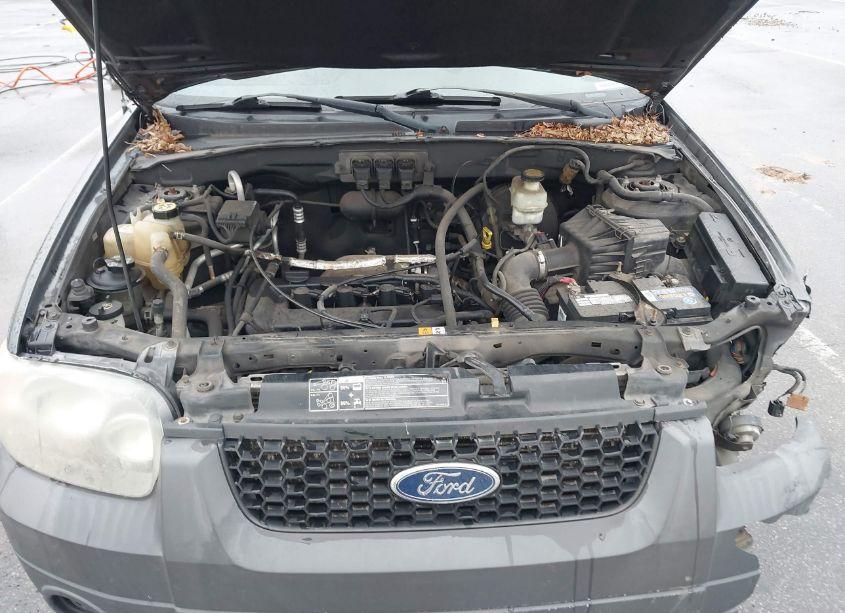Photo 10 of 2005 Ford Escape XLS (VIN 1FMYU92Z75KA76006)
