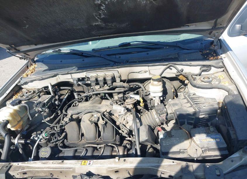 Photo 10 of 2005 Ford Escape XLT (VIN 1FMYU93105KB20890)