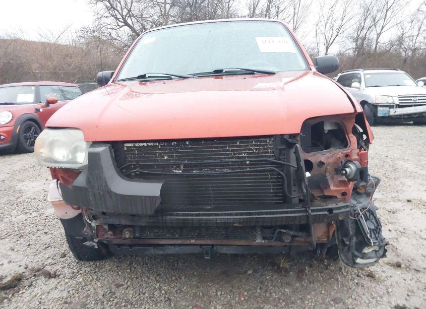 Photo 6 of 2006 Ford Escape XLT/XLT SPORT (VIN 1FMYU93106KD17687)