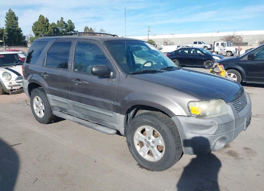 2006 Ford Escape XLT/XLT SPORT (VIN 1FMYU93136KB99442) main photo